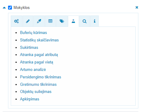 Analizė (jei aktyvuota) ─ mygtukas erdvinių duomenų analizės atlikimui.